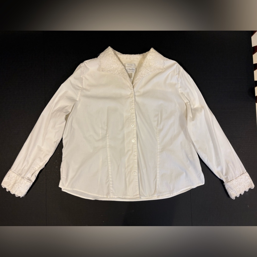 White button down blouse delicate whimsical floral embroidered lace collar cuffs